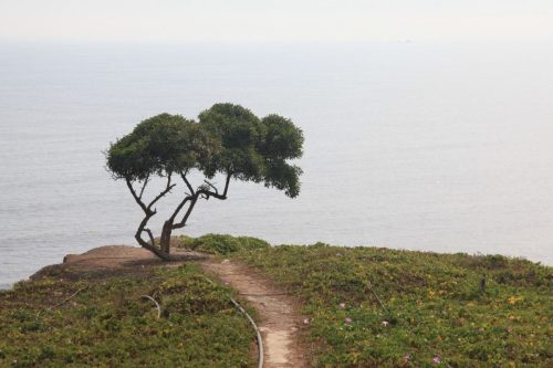 472738747 1348818029812348 6046601479424016562 n